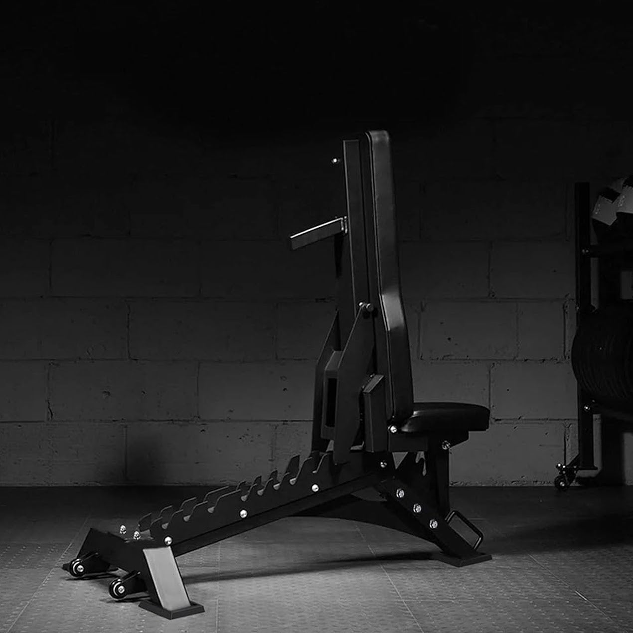 Elite Training Bench for Home & Gym Use – Heavy-Duty Commercial Design for Strength Workouts, Presses, and Full-Body Performance Support