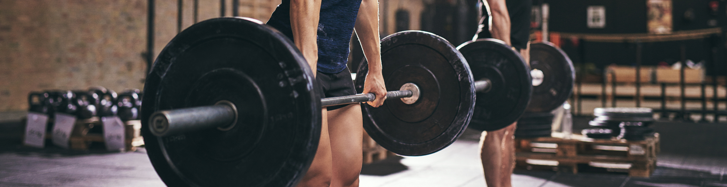 BUMPER PLATES
