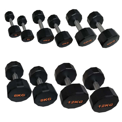 Heavy-Duty Round Hex Dumbbell | No-Roll Stability for Safer Workouts | Ergonomic Grip for Controlled Lifts | Perfect for Home & Gym Strength Training | Solid Cast Construction