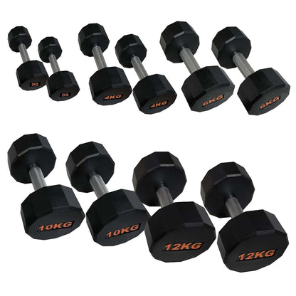 Heavy-Duty Round Hex Dumbbell | No-Roll Stability for Safer Workouts | Ergonomic Grip for Controlled Lifts | Perfect for Home & Gym Strength Training | Solid Cast Construction
