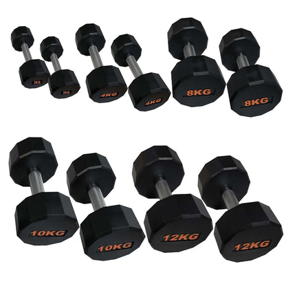 Heavy-Duty Round Hex Dumbbell | No-Roll Stability for Safer Workouts | Ergonomic Grip for Controlled Lifts | Perfect for Home & Gym Strength Training | Solid Cast Construction