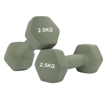 Neoprene Hex Dumbbells | Non-Slip Anti-Roll Weights for Home & Gym | Buy as Singles, Pairs or Full Sets | Ergonomic Grip & Smooth Coating | Ideal for Toning, Rehab & Strength Training