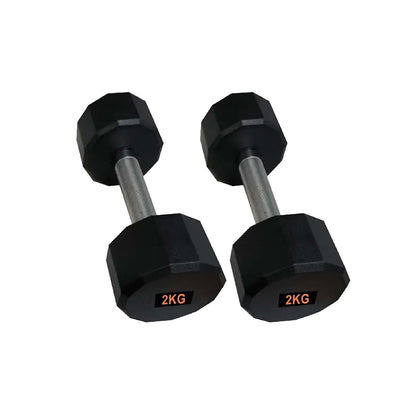 Heavy-Duty Round Hex Dumbbell | No-Roll Stability for Safer Workouts | Ergonomic Grip for Controlled Lifts | Perfect for Home & Gym Strength Training | Solid Cast Construction